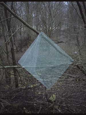 in the woods